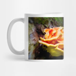 Bracket Fungi 1 Mug